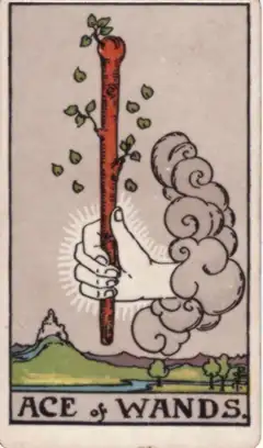 Tarotkarte Ass der Stäbe